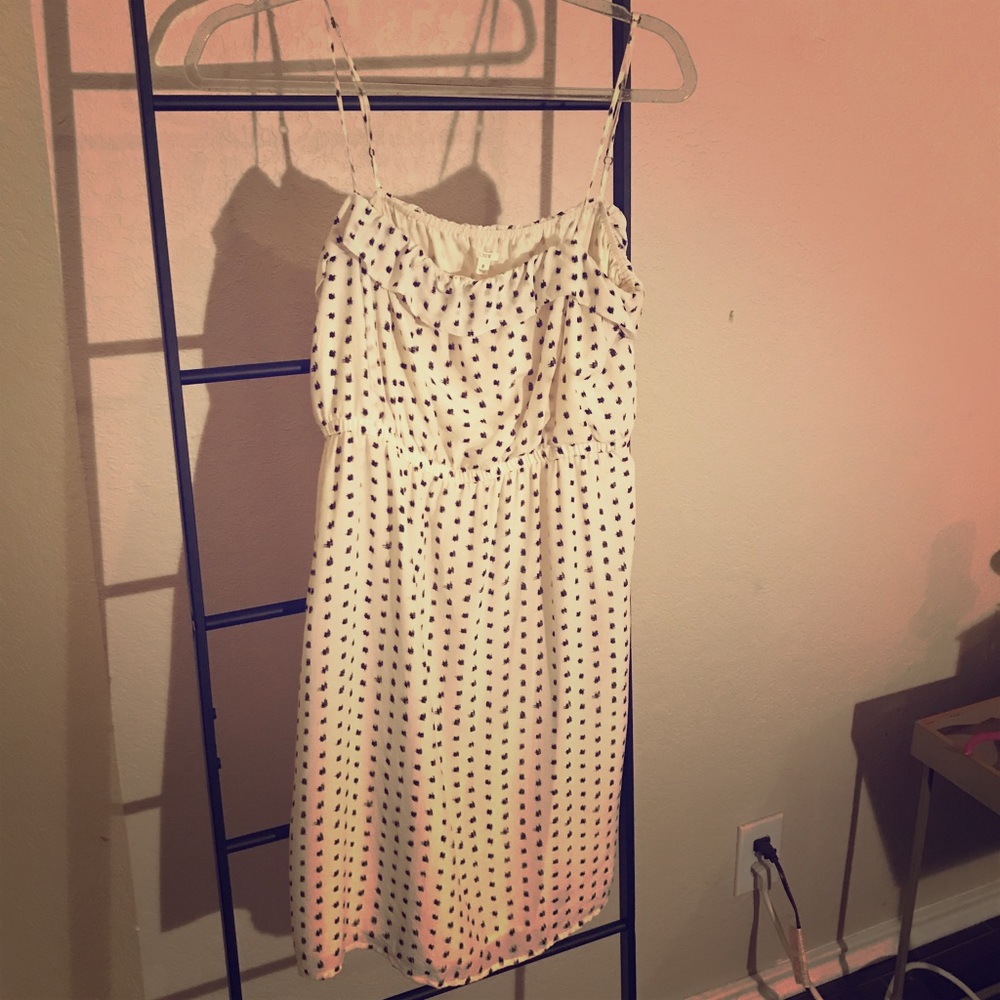Beautiful J Crew 100% silk dress